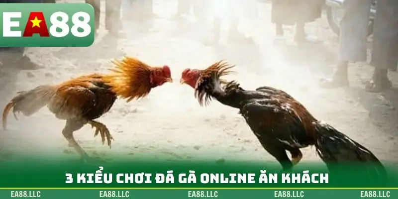 3 kiểu chơi đá gà online ăn khách